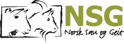 NSG